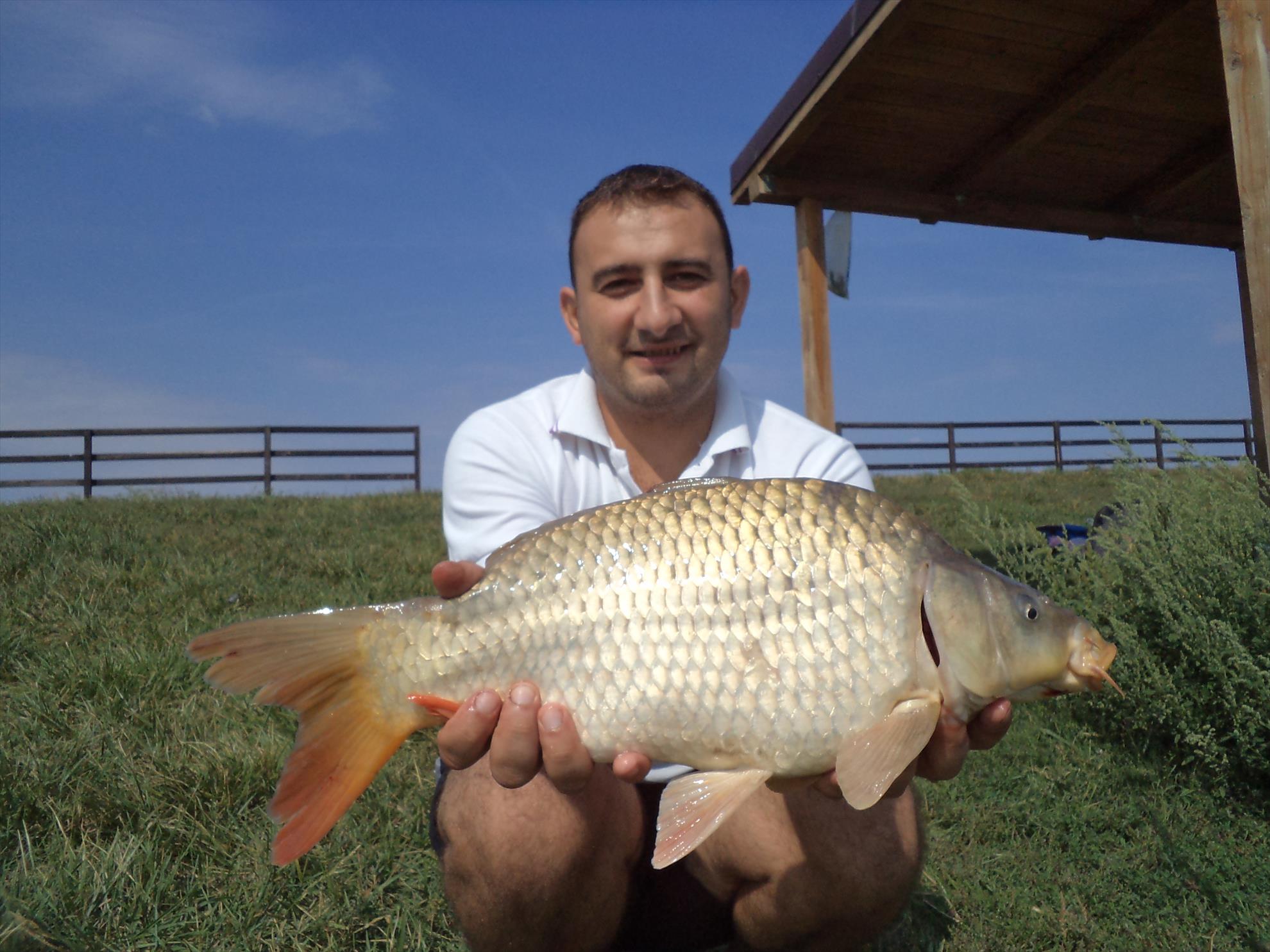 Diverse - dsc01217.JPG